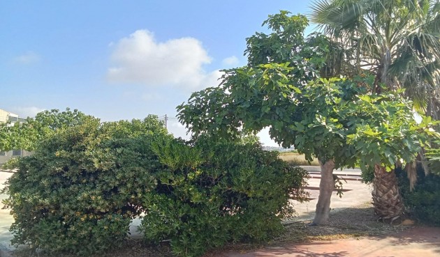 Resale - Bungalow -
Torrevieja - Torretas