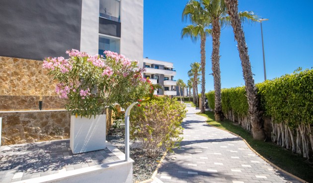Brukt - Penthouse Penthouse -
Los Altos - AMANECER