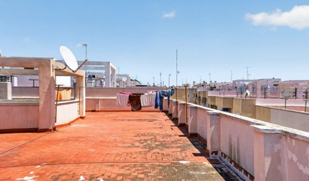 Återförsäljning - Apartment -
Torrevieja - Costa Blanca