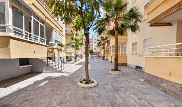 Återförsäljning - Apartment -
Torrevieja - Costa Blanca