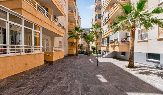 Återförsäljning - Apartment -
Torrevieja - Costa Blanca