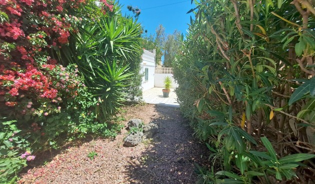 Brukt - Villa -
San Miguel de Salinas - Inland