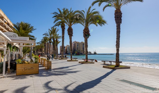 Återförsäljning - Apartment -
Torrevieja - Costa Blanca