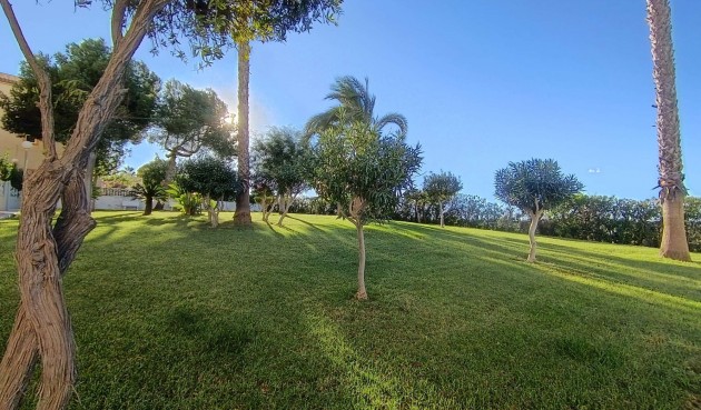 Återförsäljning - Apartment -
Torrevieja - Costa Blanca