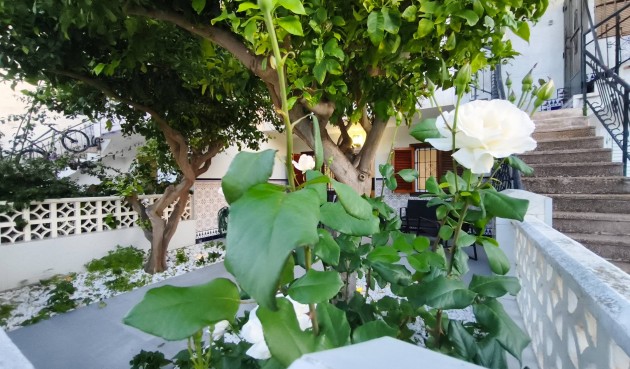 Brukt - Bungalow -
San Pedro del Pinatar - Lo Pagan