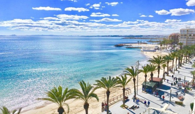 Nybygg - Villa -
Torrevieja - Lago Jardín II