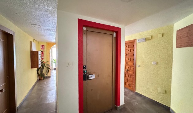 Brukt - Apartment -
Torrevieja - Centro