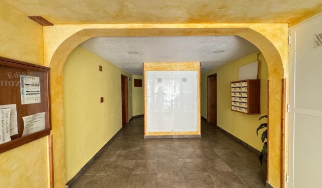 Brukt - Apartment -
Torrevieja - Centro