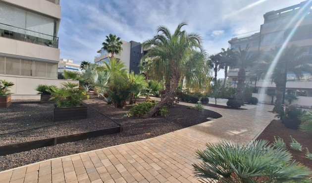 Brukt - Apartment -
Orihuela Costa - Los Dolses