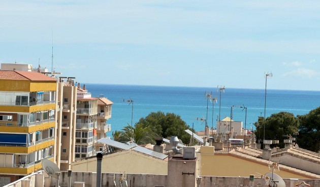 Brukt - Apartment -
Torrevieja - Punta Prima
