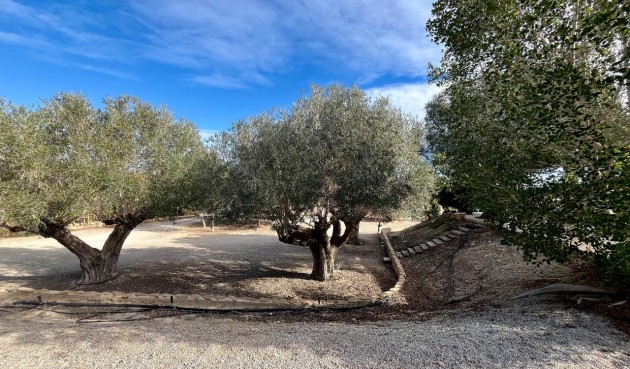Resale - Villa -
El Esparragal - Inland