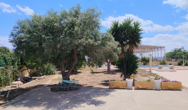 Resale - Villa -
Los Montesinos - Costa Blanca
