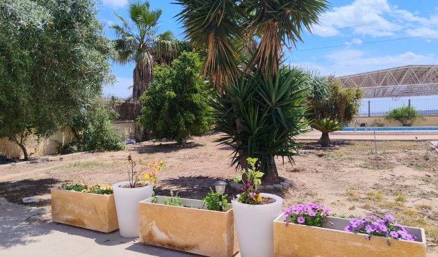 Resale - Villa -
Los Montesinos - Costa Blanca