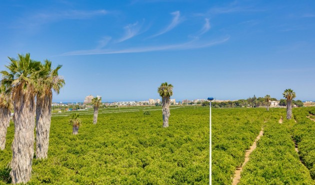 Resale - Town House -
Torrevieja - Los Balcones