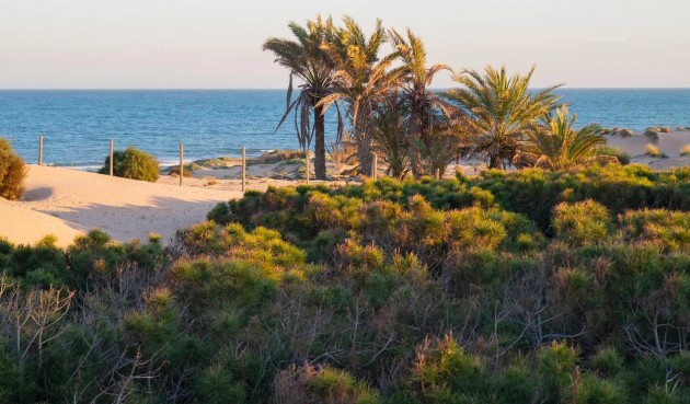 Resale - Apartment -
Guardamar del Segura - Costa Blanca