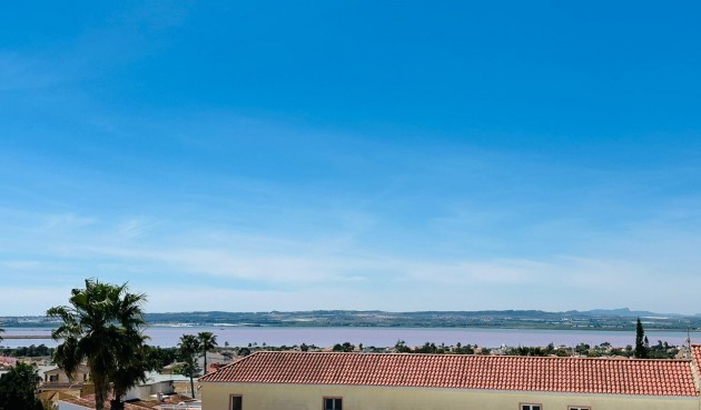 Resale - Apartment -
Torrevieja - Costa Blanca