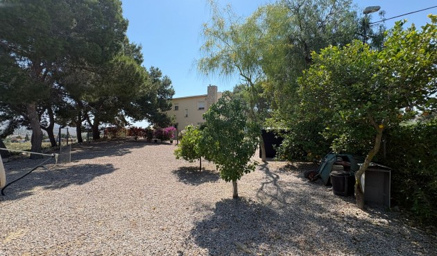 Resale - Villa -
Canadas De San Pedro - Inland