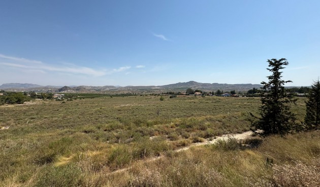 Resale - Villa -
Canadas De San Pedro - Inland