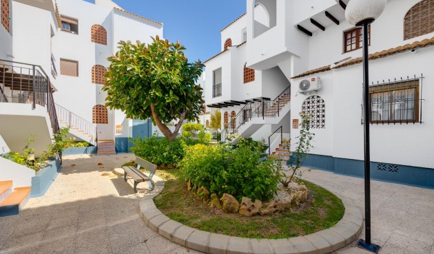 Återförsäljning - Bungalow -
Torrevieja - Costa Blanca