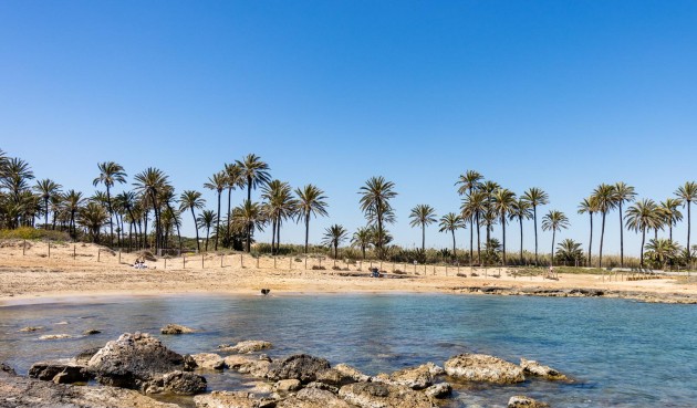Återförsäljning - Bungalow -
Torrevieja - Costa Blanca