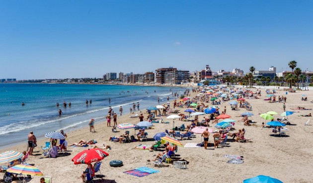 Återförsäljning - Bungalow -
Torrevieja - Costa Blanca