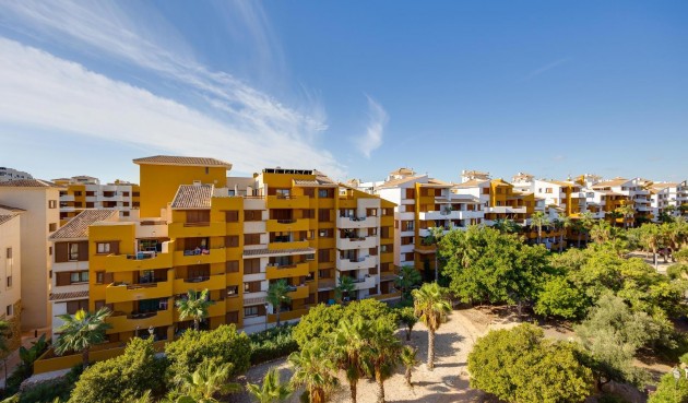 Brukt - Apartment -
Torrevieja - Punta Prima