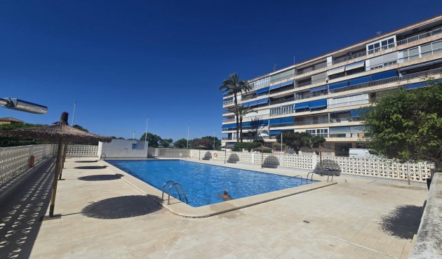 Brukt - Apartment -
Torrevieja - Puerto Deportivo Marina Salinas