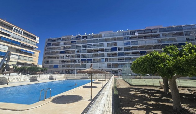 Brukt - Apartment -
Torrevieja - Puerto Deportivo Marina Salinas