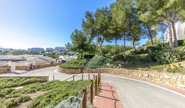 Brukt - Toppleilighet -
Orihuela Costa - Costa Blanca