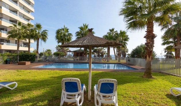 Brukt - Toppleilighet -
Torrevieja - Costa Blanca