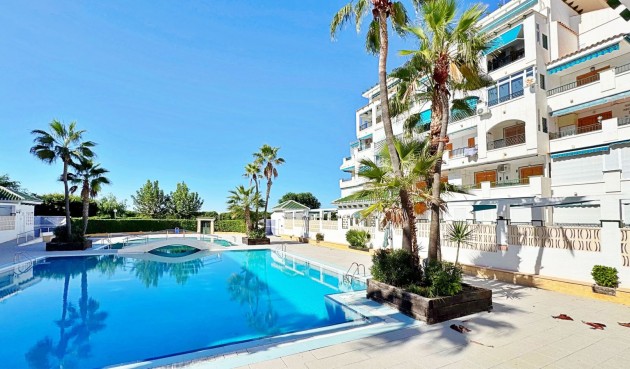 Brukt - Apartment -
Torrevieja - Costa Blanca