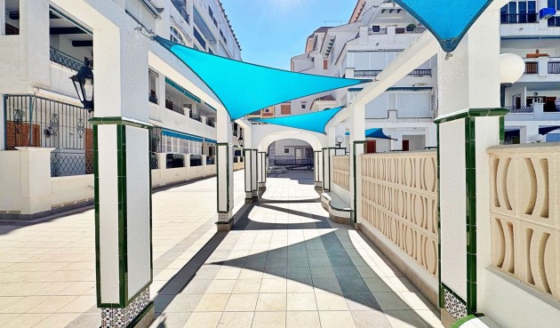 Brukt - Apartment -
Torrevieja - Costa Blanca