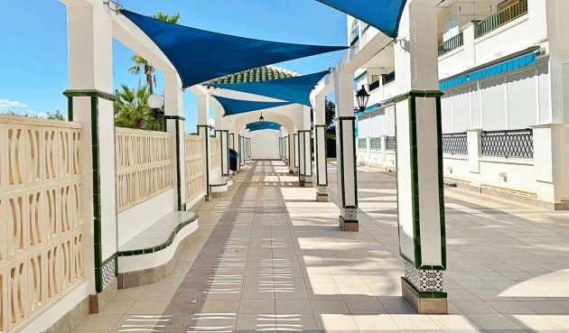 Brukt - Apartment -
Torrevieja - Costa Blanca