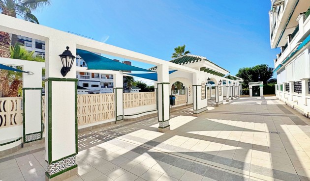 Brukt - Apartment -
Torrevieja - Costa Blanca