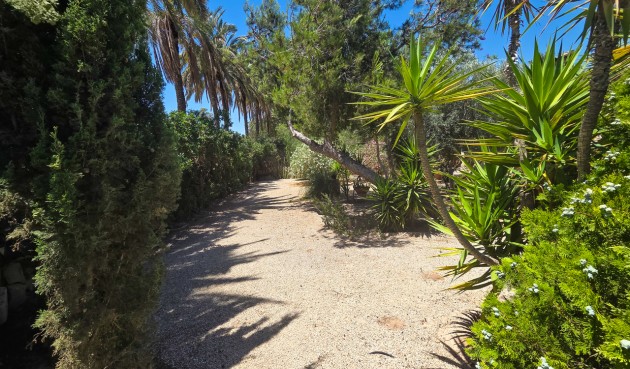 Brukt - Villa -
Elche - Costa Blanca