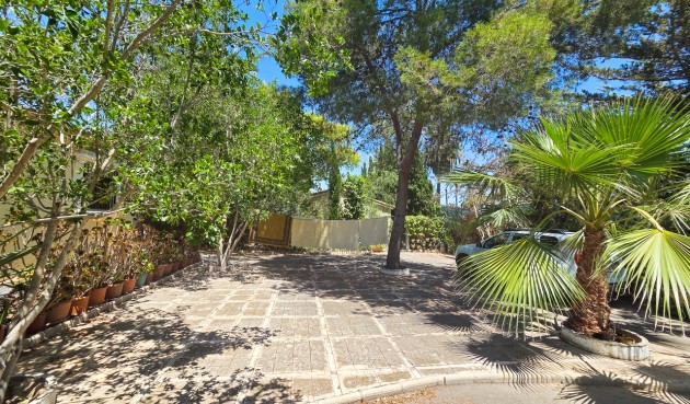 Brukt - Villa -
Elche - Costa Blanca