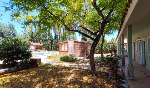 Brukt - Villa -
Elche - Costa Blanca