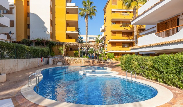 Brukt - Apartment -
Torrevieja - Costa Blanca