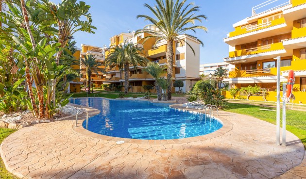 Brukt - Apartment -
Torrevieja - Costa Blanca