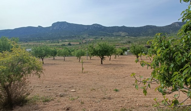 Brukt - Villa -
La Romana - Inland