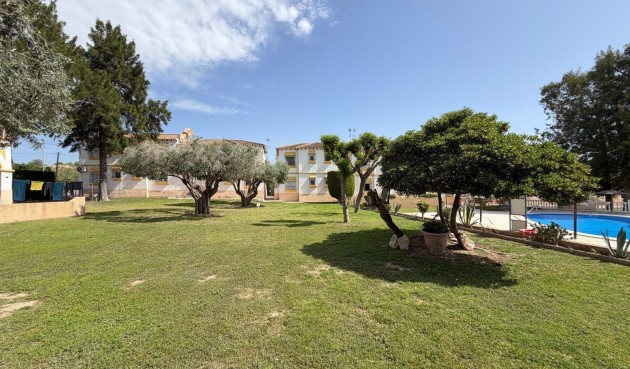 Brukt - Apartment -
San Miguel de Salinas - Blue Lagoon - Galán
