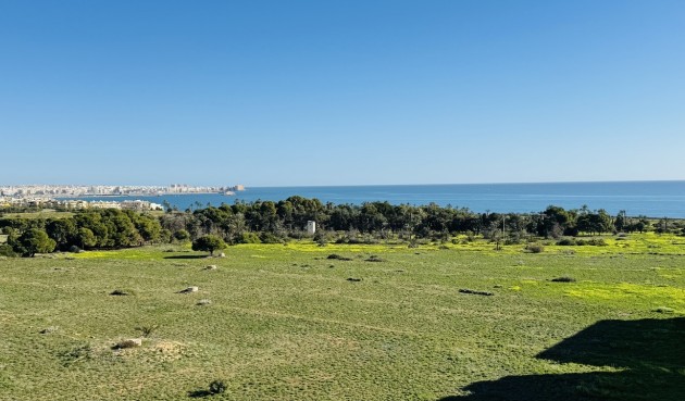 Brukt - Toppleilighet -
Punta Prima - Costa Blanca