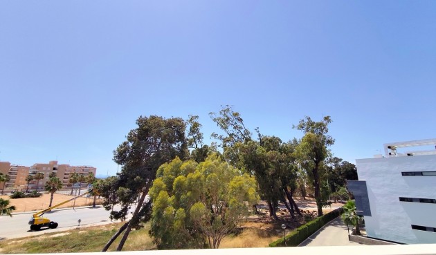 Resale - Penthouse -
Guardamar del Segura - Costa Blanca