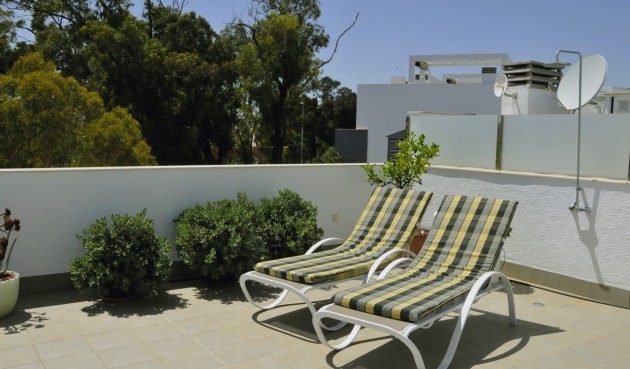 Resale - Penthouse -
Guardamar del Segura - Costa Blanca