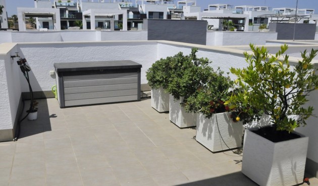 Resale - Penthouse -
Guardamar del Segura - Costa Blanca