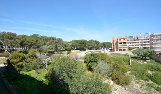 Resale - Apartment -
Guardamar del Segura - Costa Blanca