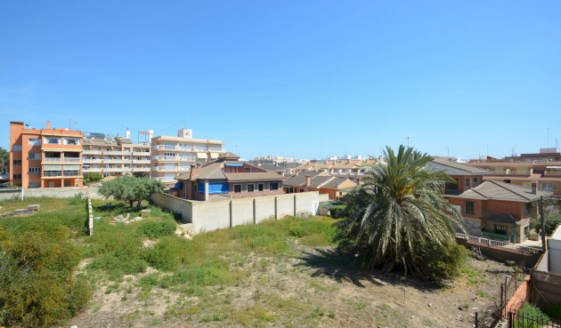 Resale - Apartment -
Guardamar del Segura - Costa Blanca