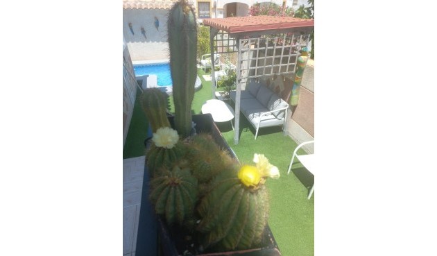 Resale - Town House -
Orihuela Costa - Los Almendros-la Florida