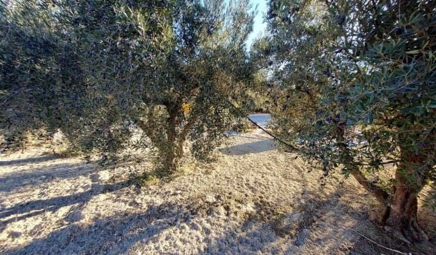 Resale - Villa -
Calasparra - Inland