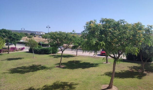Resale - Apartment -
Hacienda Riquelme Golf Resort - Inland